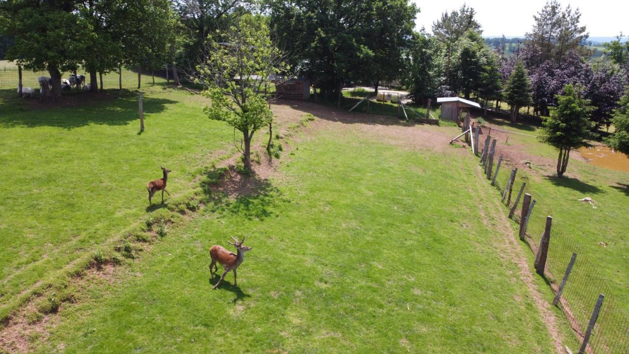 Brochepierre 28 Pers- Vue Exceptionnelle - Malmedy Villa Dış mekan fotoğraf